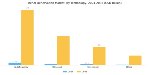 Renal Denervation Market Segment Image 1