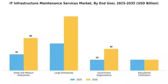IT Infrastructure Maintenance Services Market Segment Image 1