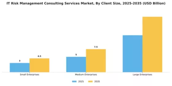 IT Risk Management Consulting Services Market Segment Image 0