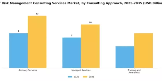 IT Risk Management Consulting Services Market Segment Image 1