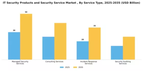 IT Security Products and Security Service Market Segment Image 4