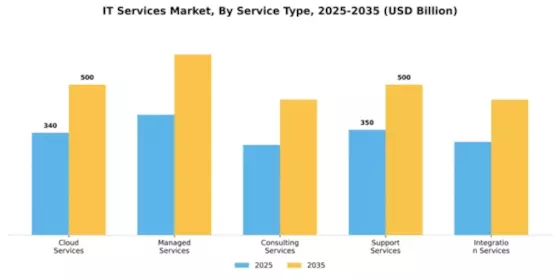 IT Services Market Segment Image 3