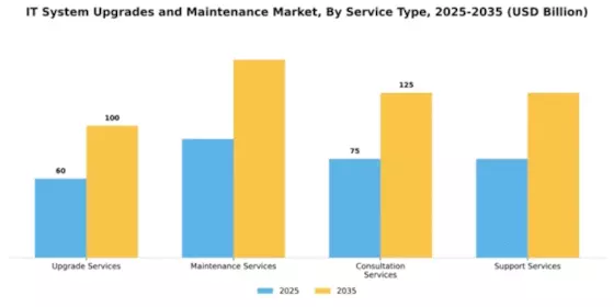IT System Upgrades and Maintenance Market Segment Image 2