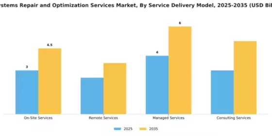IT Systems Repair and Optimization Services Market Segment Image 1