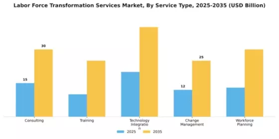 Labor Force Transformation Services Market Segment Image 3