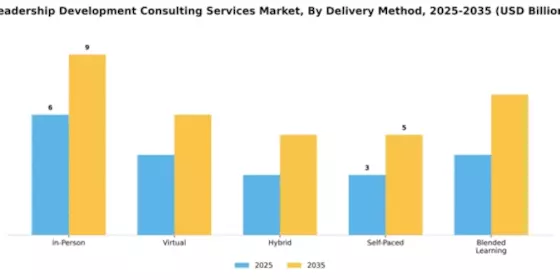 Leadership Development Consulting Services Market Segment Image 1