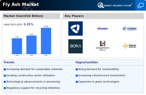 Fly Ash Market Infographic