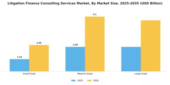Litigation Finance Consulting Services Market Segment Image 3