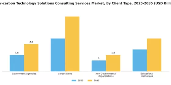 Low-carbon Technology Solutions Consulting Services Market Segment Image 1