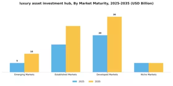 Luxury Asset Investment Hub Market Segment Image 4