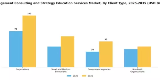 Management Consulting and Strategy Education Services Market Segment Image 0