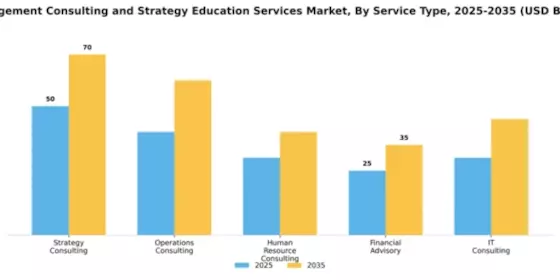 Management Consulting and Strategy Education Services Market Segment Image 4