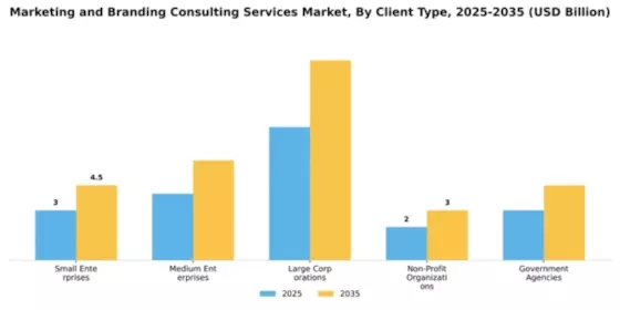 Marketing and Branding Consulting Services Market Segment Image 0
