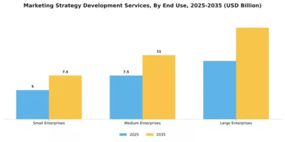 Marketing Strategy Development Services Market Segment Image 2