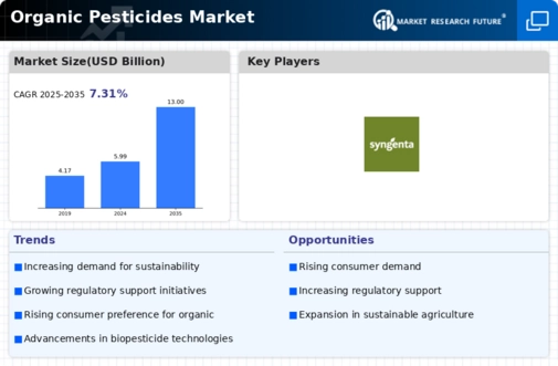 Organic Pesticides Market Infographic