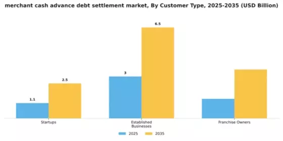 Merchant Cash Advance Debt Settlement Market Segment Image 2