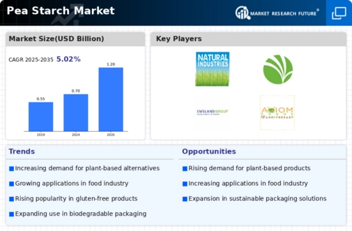Pea Starch Market Infographic