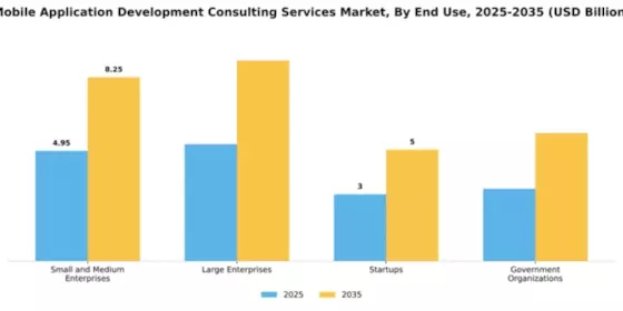 Mobile Application Development Consulting Services Market Segment Image 3