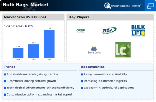 Bulk Bags Market Infographic