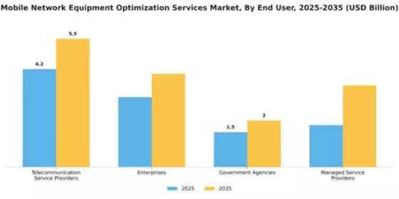 Mobile Network Equipment Optimization Services Market Segment Image 2