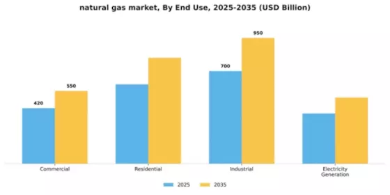 Natural Gas Market Segment Image 2