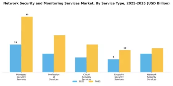 Network Security and Monitoring Services Market Segment Image 3
