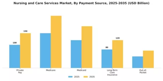 Nursing and Care Services Market Segment Image 1