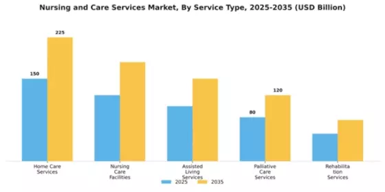 Nursing and Care Services Market Segment Image 2
