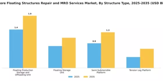 Offshore Floating Structures Repair and MRO Services Market Segment Image 3