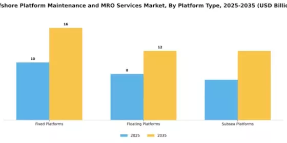 Offshore Platform Maintenance and MRO Services Market Segment Image 2