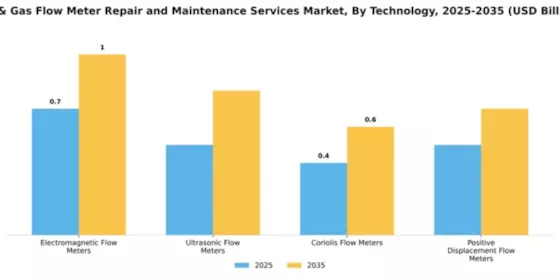 Oil & Gas Flow Meter Repair and Maintenance Services Market Segment Image 4