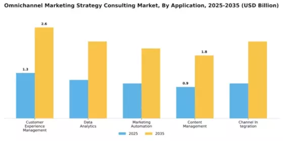 Omnichannel Marketing Strategy Consulting Market Segment Image 0