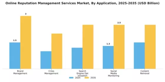 Online Reputation Management Services Market Segment Image 0