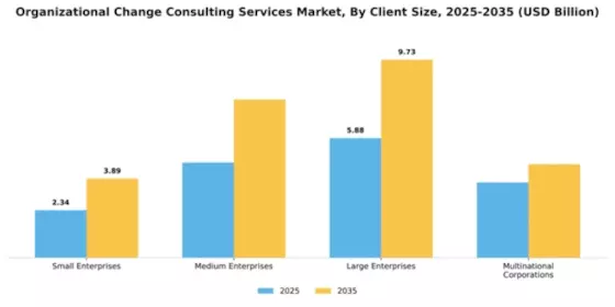 Organizational Change Consulting Services Market Segment Image 0
