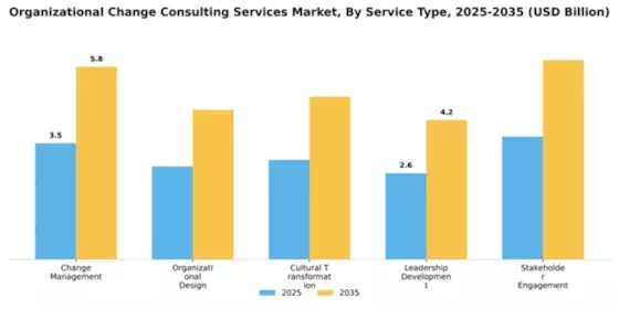 Organizational Change Consulting Services Market Segment Image 4