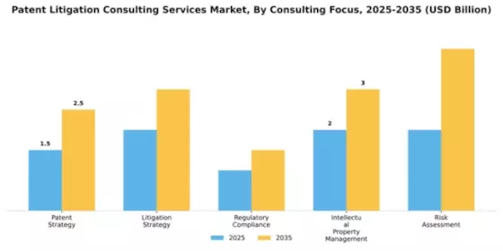 Patent Litigation Consulting Services Market Segment Image 1
