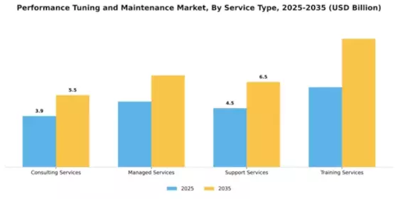 Performance Tuning and Maintenance Market Segment Image 3