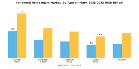 Peripheral Nerve Injury Market Segment Image 4