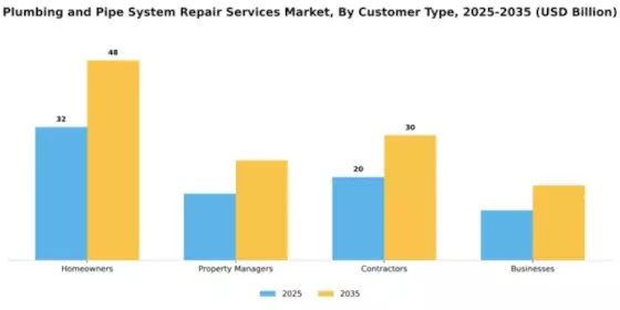 Plumbing and Pipe System Repair Services Market Segment Image 1