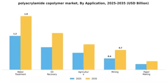 polyacrylamide copolymer market Segment Image 0