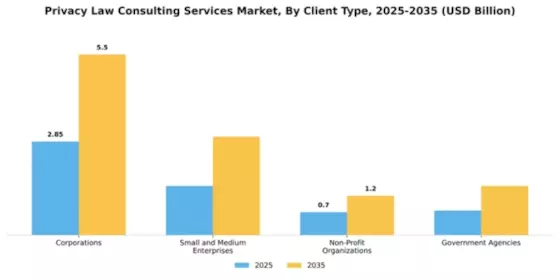 Privacy Law Consulting Services Market Segment Image 0