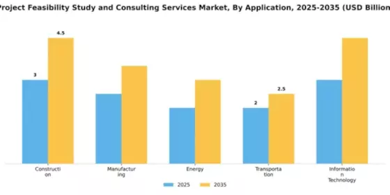 Project Feasibility Study and Consulting Services Market Segment Image 0