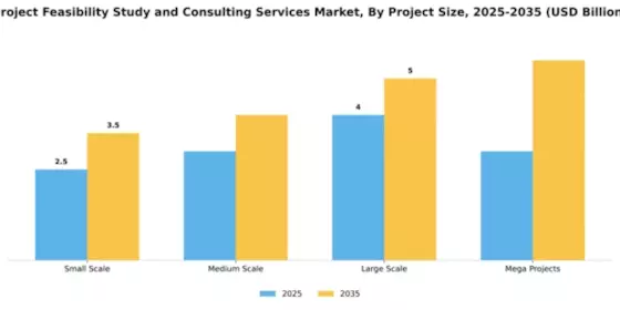 Project Feasibility Study and Consulting Services Market Segment Image 3