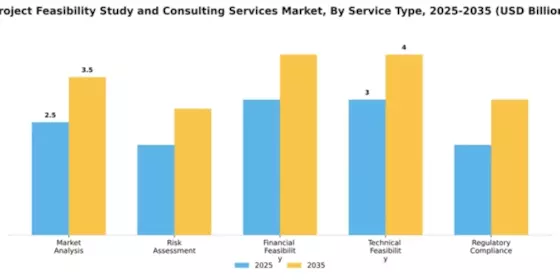 Project Feasibility Study and Consulting Services Market Segment Image 4