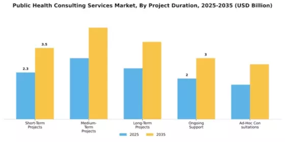 Public Health Consulting Services Market Segment Image 3