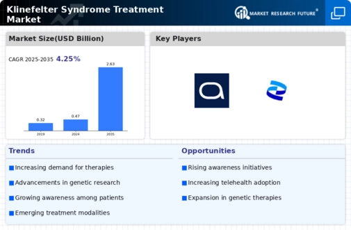 Klinefelter Syndrome Treatment Market Infographic