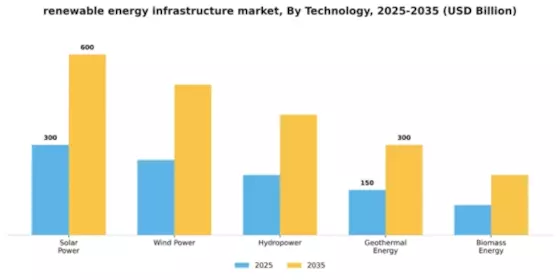 Renewable Energy Infrastructure Market Segment Image 2