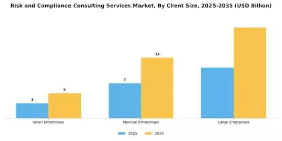 Risk and Compliance Consulting Services Market Segment Image 0