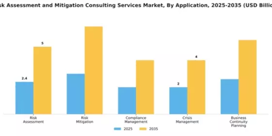 Risk Assessment and Mitigation Consulting Services Market Segment Image 0