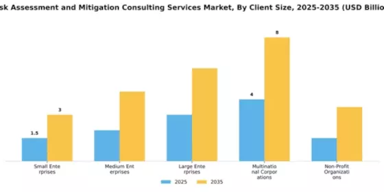 Risk Assessment and Mitigation Consulting Services Market Segment Image 1